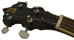 5 String Banjo Bluegrass, Folk & C 